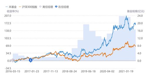 基金净值查询系统分析与优化案例研究，以基金净值查询系统1234567为例