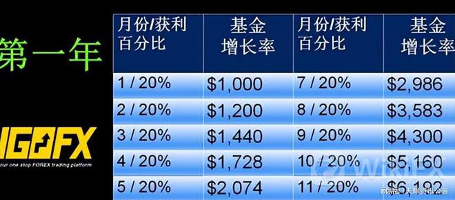 外汇交易中的稳赚策略与数字化转型，数据整合是关键之道