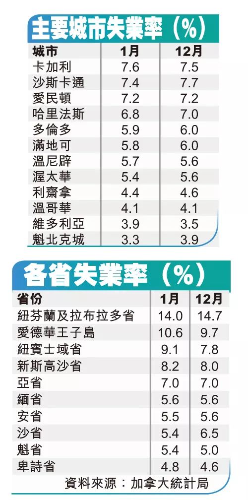 国家失业率计算与数据分析，数字化转型中的关键角色与影响分析