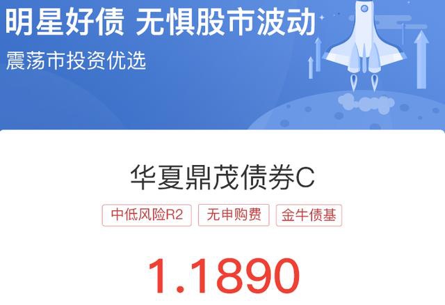 华夏四个月债券C的购买状况解析，基于数据整合与技术的深度探讨