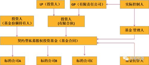 私募股权基金在数字化转型中的数据整合与策略应对作用探讨