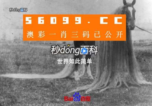 澳门妈祖一肖一码浏览器,精细解读解析_suite36.135