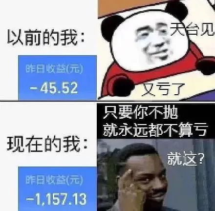 基金投资中的数据分析与策略挑战，揭示基金投资并非盲目之举，数据整合至关重要！