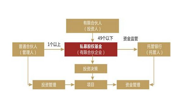 私募股权基金特点及其在数字化转型中的关键作用解析