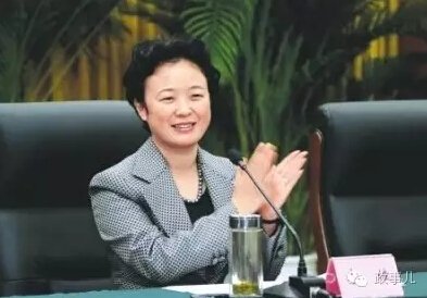 美女书记林虹被查，公职人员职业道德引思考