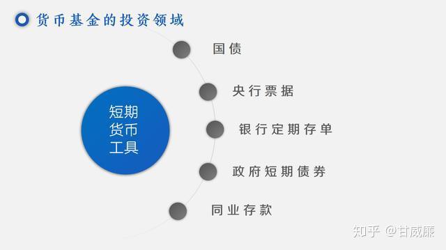 货币基金在数字化转型中的核心作用，数据整合与技术驱动的力量