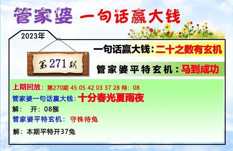 2020管家婆一肖一码,实地说明解析_轻量版59.471