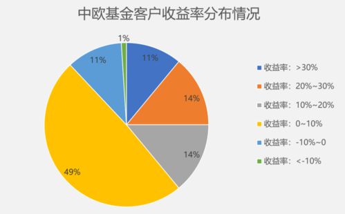 混合型基金与股票基金收益对比分析及行业数字化转型影响下的投资表现研究