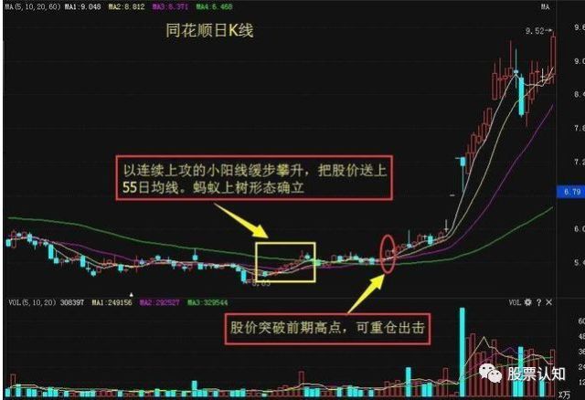 股票投资方式深度解析，数据整合、技术特点与应对策略的关键性探讨