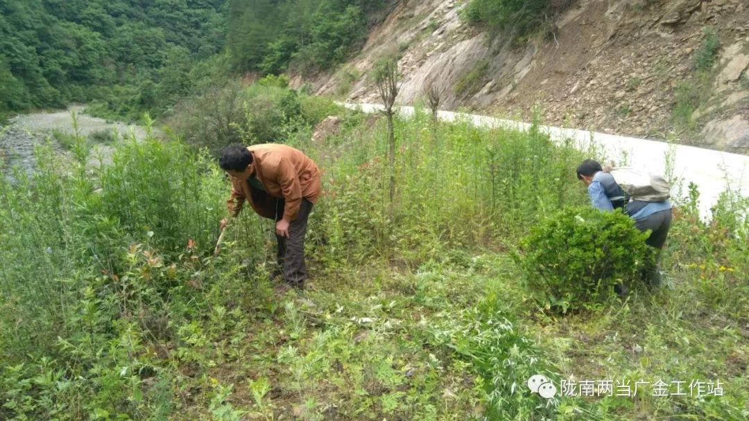 加油干！今天继续种地