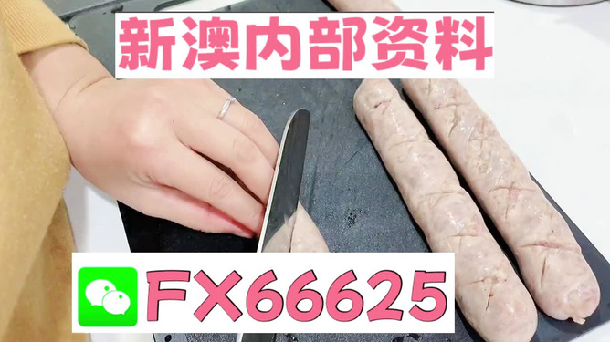 新澳精准资料大全,动态解析说明_网页版50.495