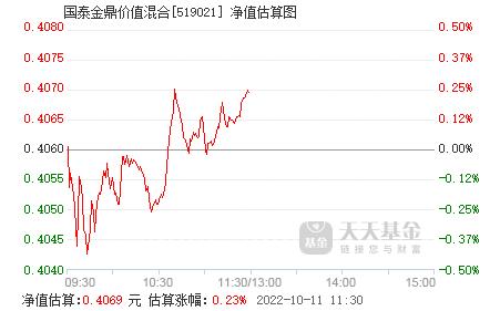 基金净值查询项目分析，以代码519021为例的探讨