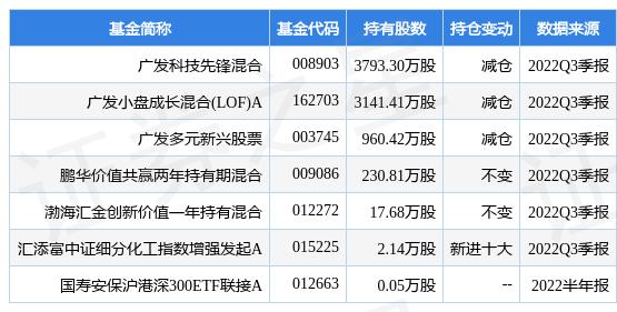 科技股基金排行前十名深度解析与评估报告