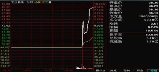 机构投资者与散户投资优先性的深度探讨