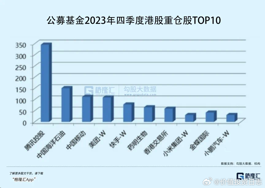 基金重仓港股分析与数字化转型，数据、技术、挑战及策略全解析