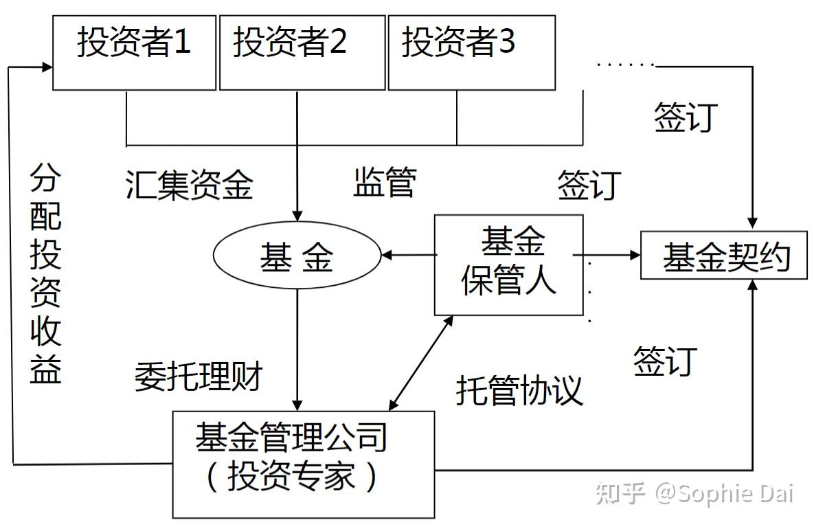 投资基金市场与资本市场关系解析，数据整合与技术驱动的力量分析