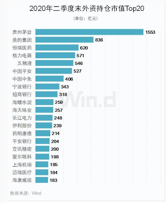 中央汇金重仓股数据分析揭秘，数字化转型的关键角色与应对策略研究