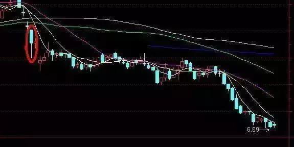 中国散户现象在投资领域的深度探究