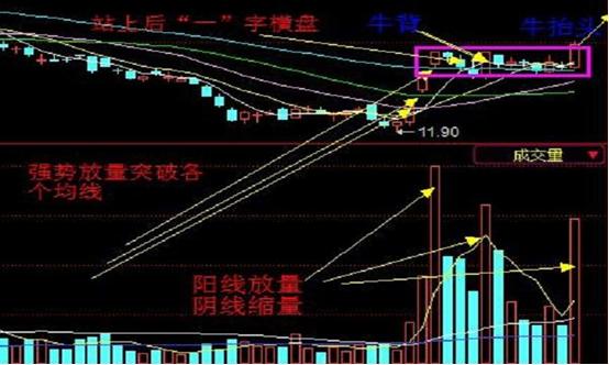 股票回调天数分析与数字化转型力量，探究涨停板背后的数据整合奥秘