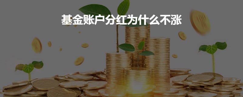 基金分红后本金减少现象解析，数据与技术的视角探究原因及影响