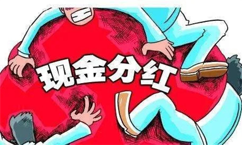 基金分红解析，含义、影响一览无遗