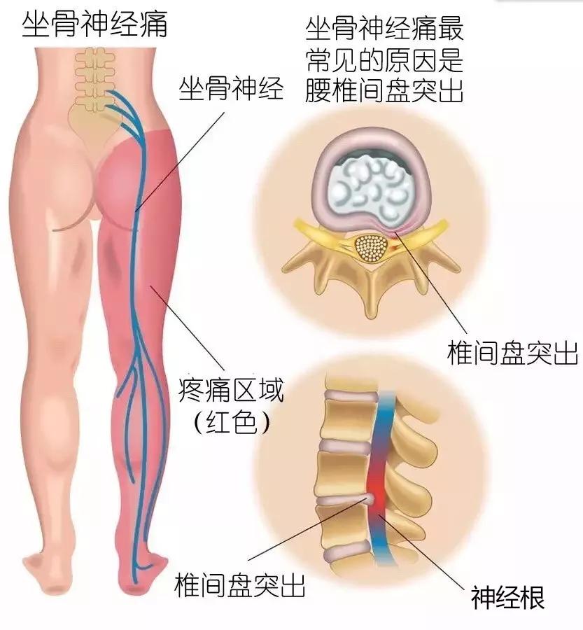 森花 第5页