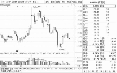 揭秘高增长股票，意义、特点与策略全解析