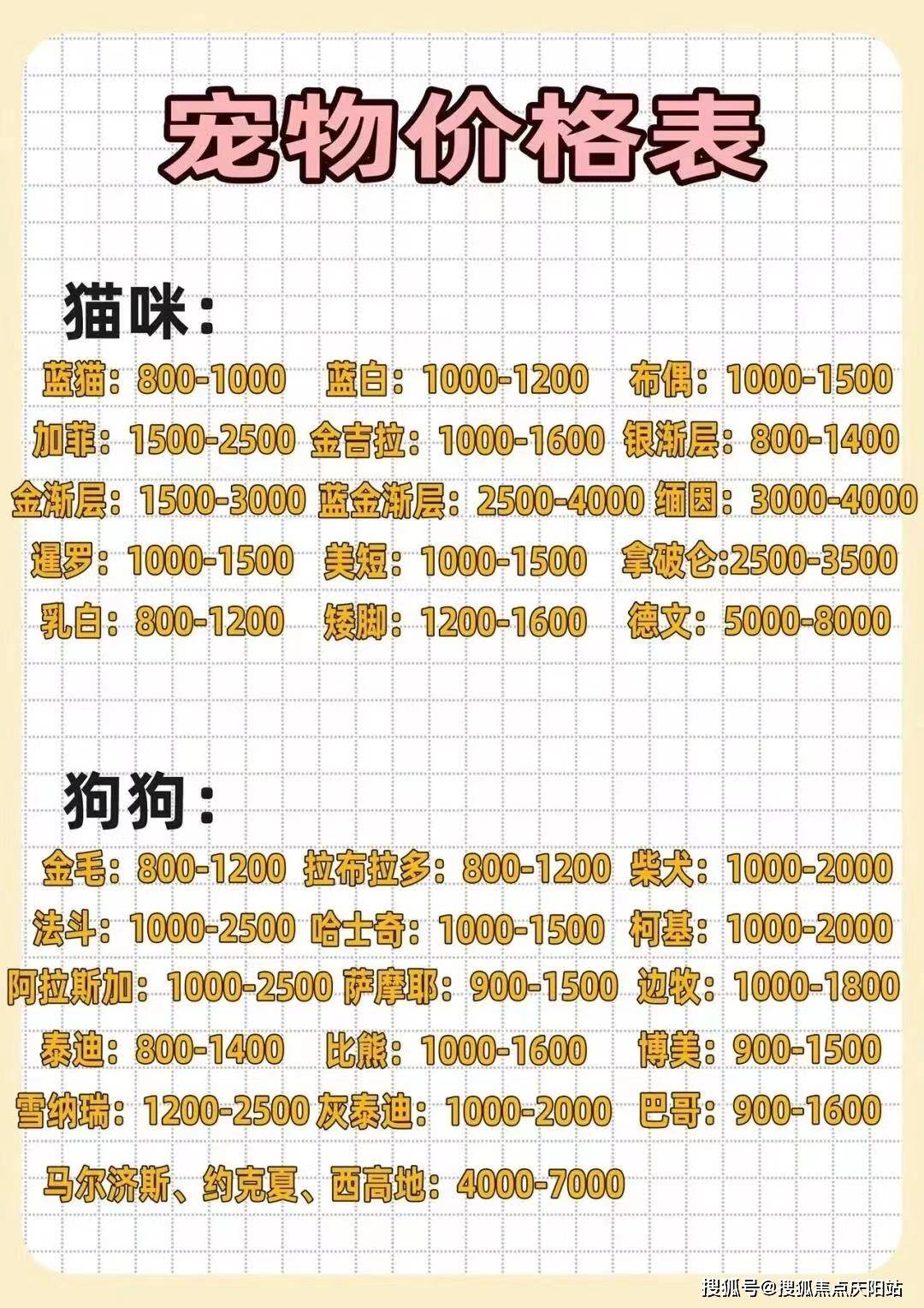 今日犬类市场概览，价格、走势与影响因素深度解析