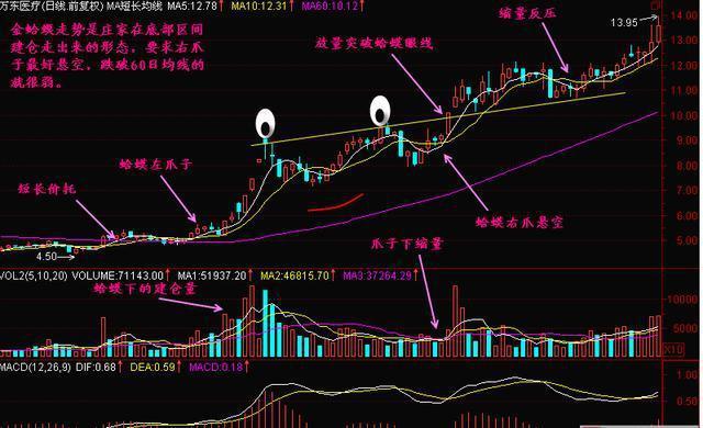 股票暴涨前兆，洞悉市场动向，把握四大投资机会预兆