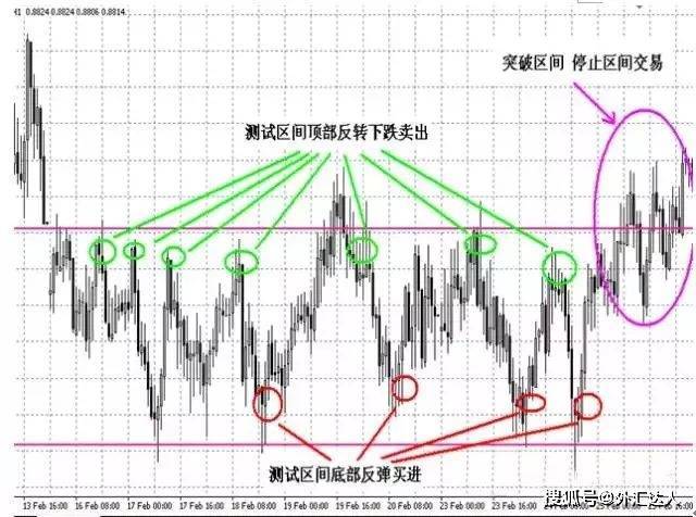 揭秘外汇交易成功秘诀，最神奇的外汇交易方法解析