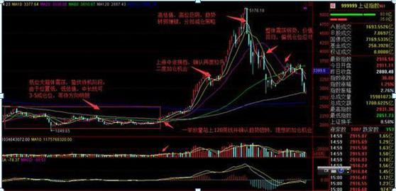 A股市场投资者持股结构全面剖析