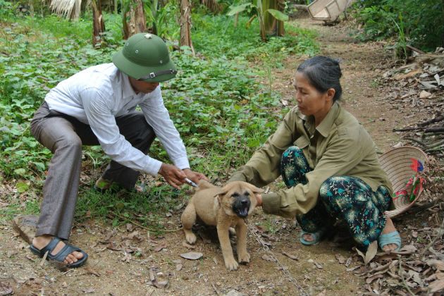 狂犬病再次夺走一条生命，男子被狗咬伤4个月后发作致死