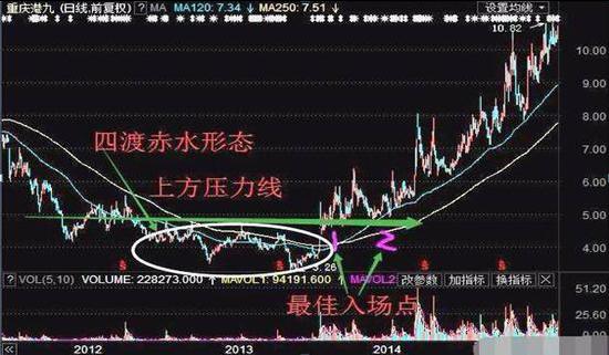 股市解析，成交量与股票代码的关键要素探讨