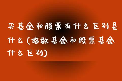 股票型基金与买股票的区别，投资方式与风险管理的深度解析与探讨