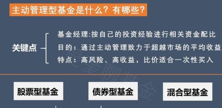 主动型基金特点与投资策略解析