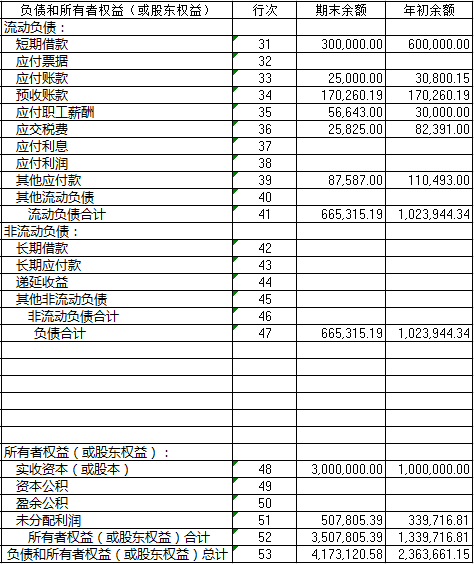 探索企业晴雨表，财务报表公开世界的指南