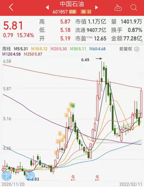 中国石油股票，市场趋势深度解析与投资策略及风险管理指南