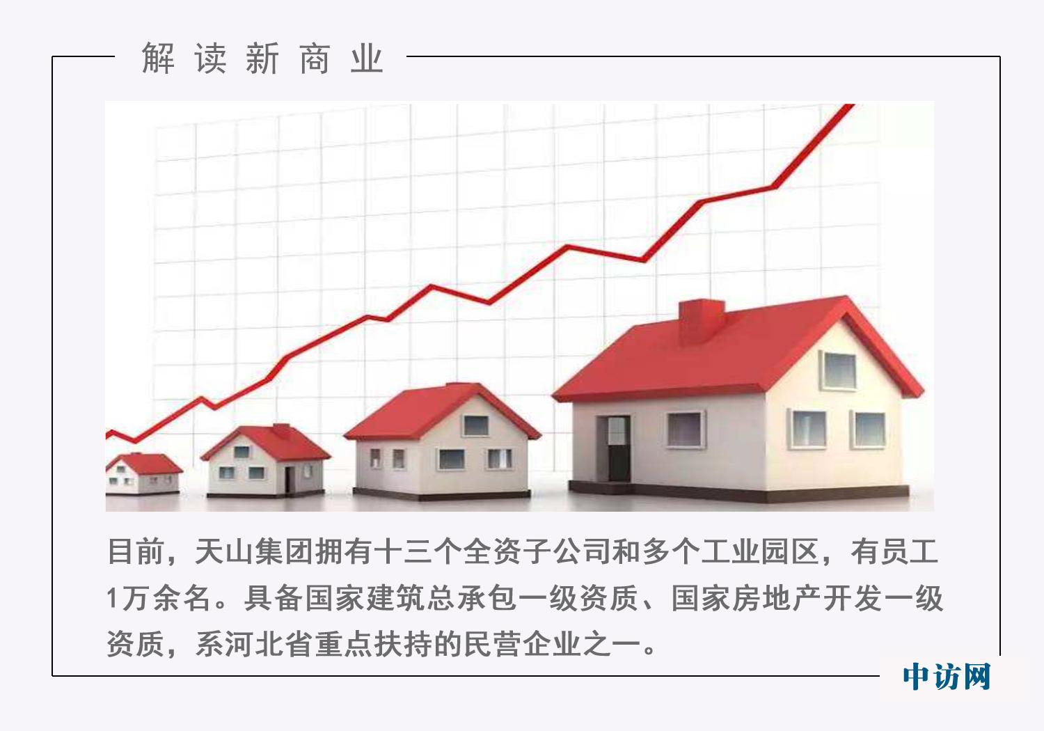 上市公司财报披露规则，规范信息披露，助力市场稳健发展