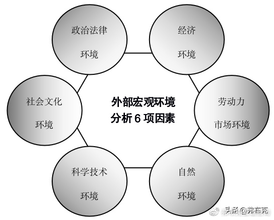 外部环境因素解析，定义与影响