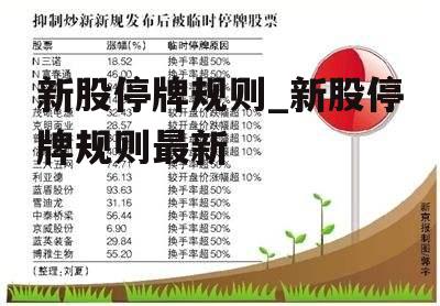 新股前五天临时停牌规则深度解读及其影响探讨