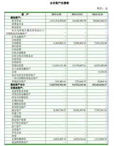 娃哈哈财务报表深度解析