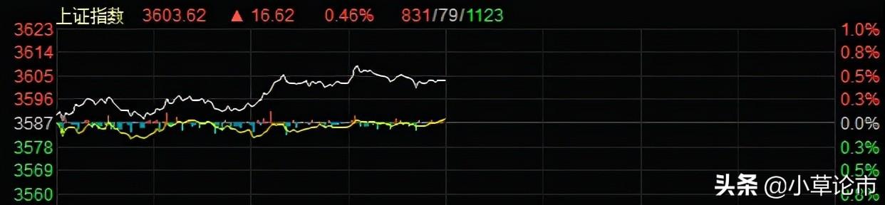 基金深度解析，理解其含义与重要性的关键指南