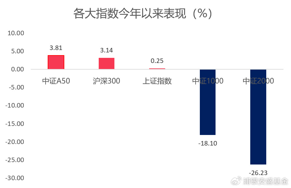 解析未来趋势，基金会增长预测，2024下半年展望增长之路