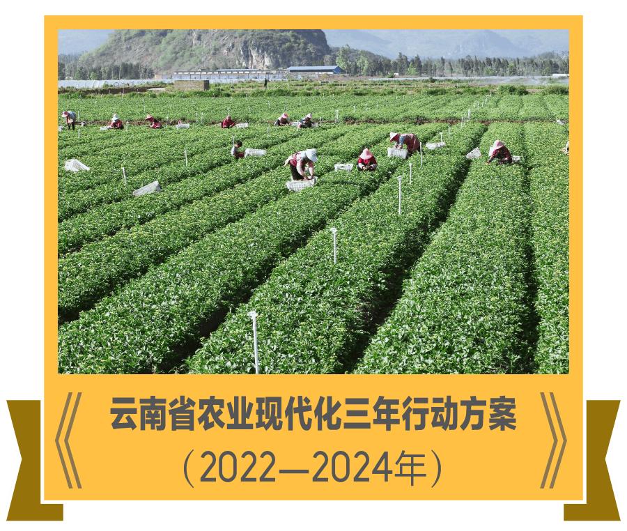 2024年潜力股票展望，二十只股票有望摘帽