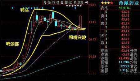 K线图全图解，揭秘股票价格波动的语言