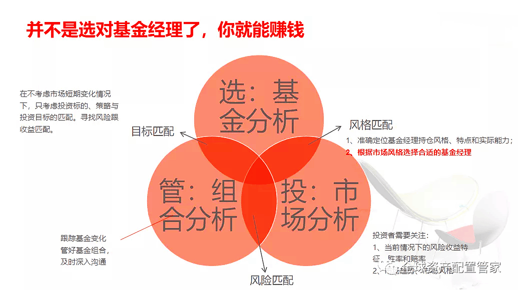 股票型基金安全性解析，深度探讨与投资者应对策略